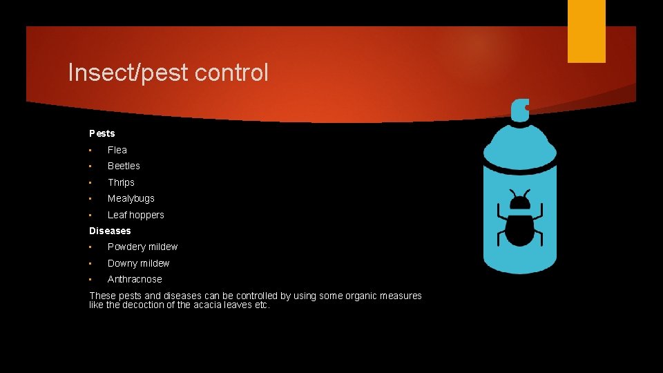 Insect/pest control Pests • Flea • Beetles • Thrips • Mealybugs • Leaf hoppers