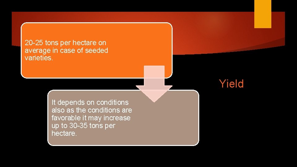 20 -25 tons per hectare on average in case of seeded varieties. Yield It