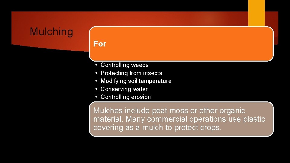 Mulching For • • • Controlling weeds Protecting from insects Modifying soil temperature Conserving