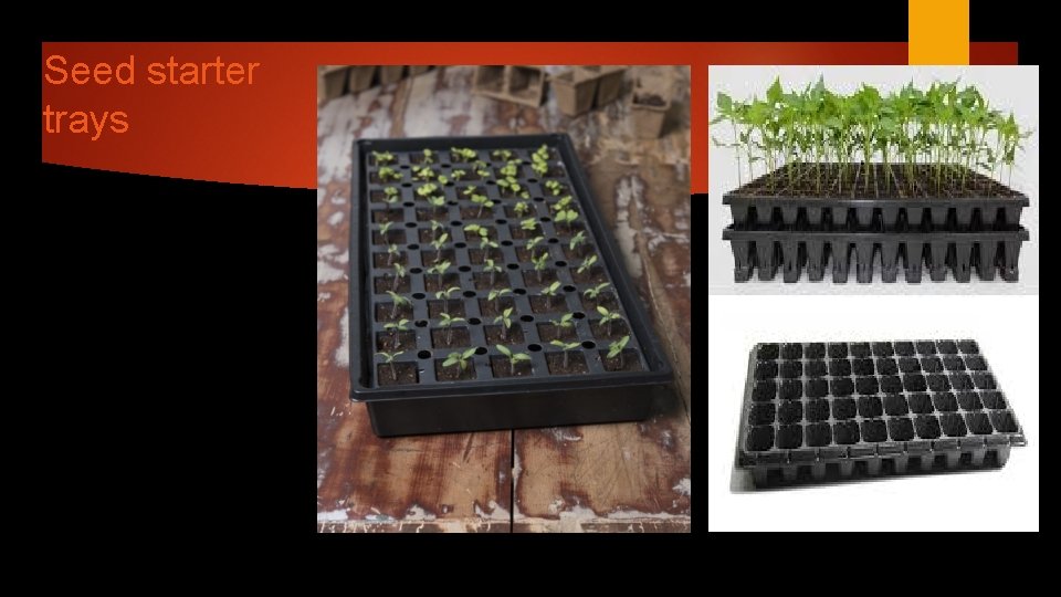 Seed starter trays 