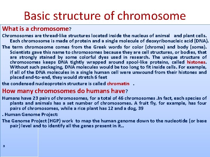 Basic structure of chromosome What is a chromosome? Chromosomes are thread-like structures located inside