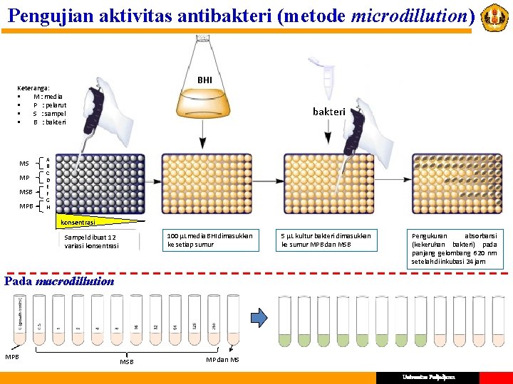Pengujian aktivitas antibakteri (metode microdillution) BHI Keteranga: § M : media § P :