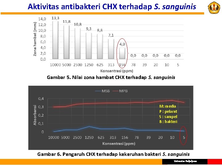 Aktivitas antibakteri CHX terhadap S. sanguinis Gambar 5. Nilai zona hambat CHX terhadap S.