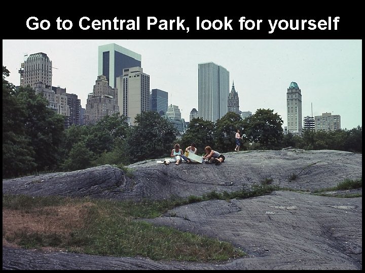 Go to Central Park, look for yourself 