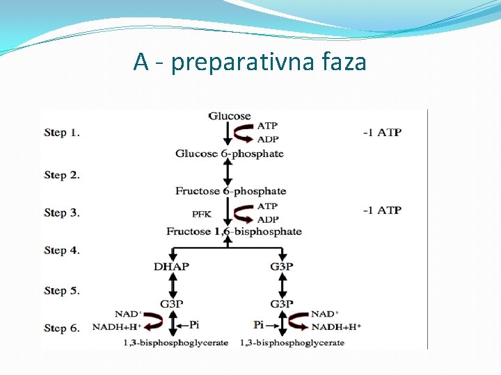 A - preparativna faza 