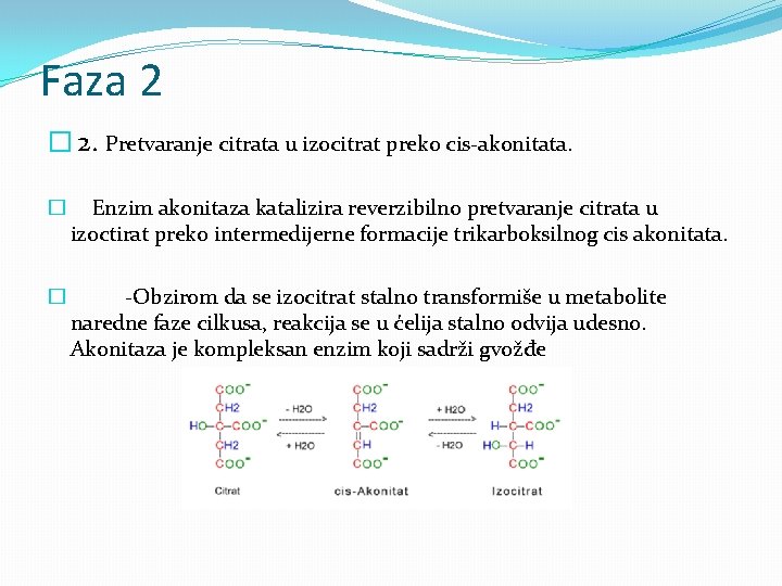 Faza 2 � 2. Pretvaranje citrata u izocitrat preko cis-akonitata. � Enzim akonitaza katalizira