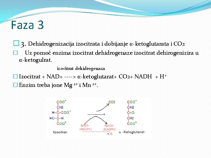 Faza 3 � 3. Dehidrogenizacija izocitrata i dobijanje α-ketoglutarata i CO 2 � Uz