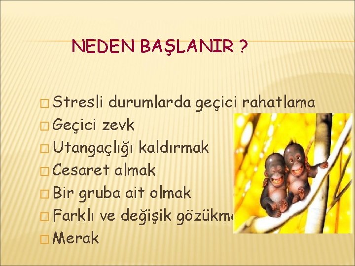 NEDEN BAŞLANIR ? � Stresli durumlarda geçici rahatlama � Geçici zevk � Utangaçlığı kaldırmak