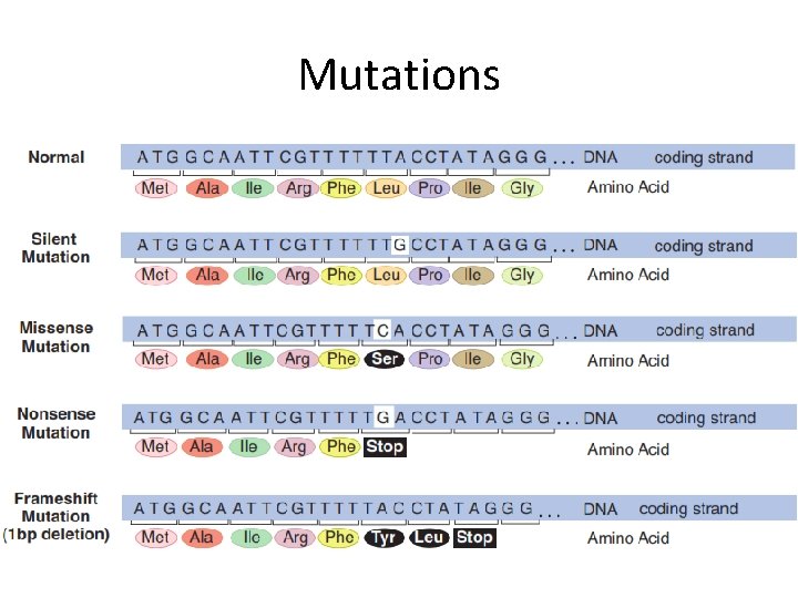 Mutations 