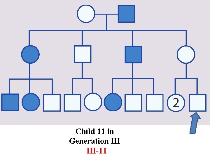 Child 11 in Generation III-11 