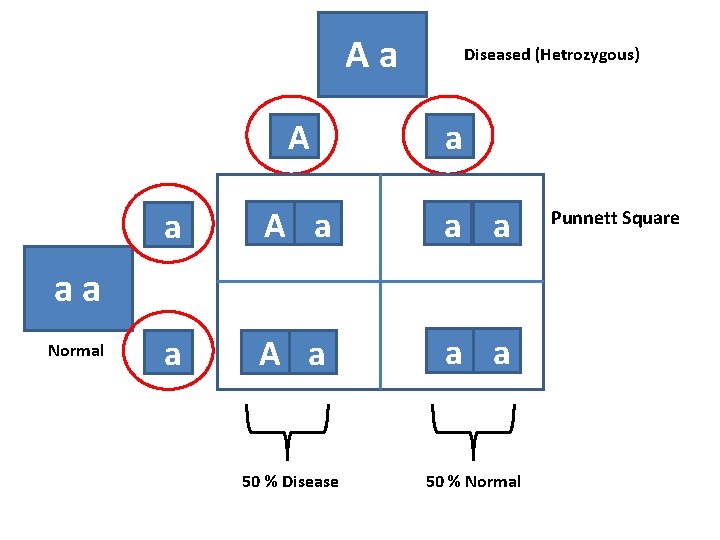 Aa A Diseased (Hetrozygous) a a A a a a 50 % Disease 50