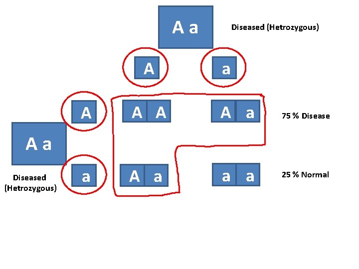 Aa A Diseased (Hetrozygous) a A A a 75 % Disease a A a