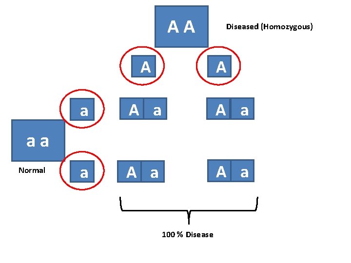 AA A Diseased (Homozygous) A a A a aa Normal 100 % Disease 