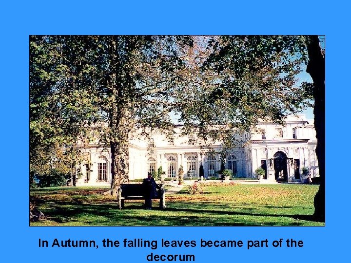 In Autumn, the falling leaves became part of the decorum 