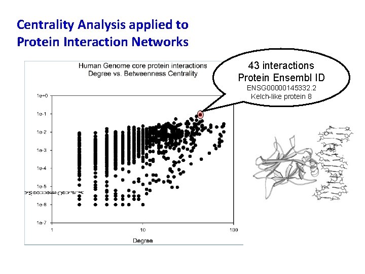 Centrality Analysis applied to Protein Interaction Networks 43 interactions Protein Ensembl ID ENSG 00000145332.