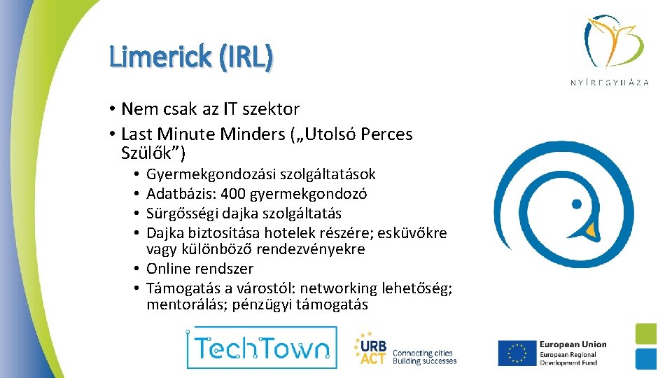 Limerick (IRL) • Nem csak az IT szektor • Last Minute Minders („Utolsó Perces