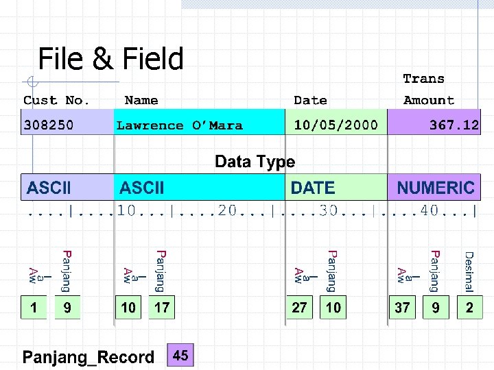 File & Field File & Field