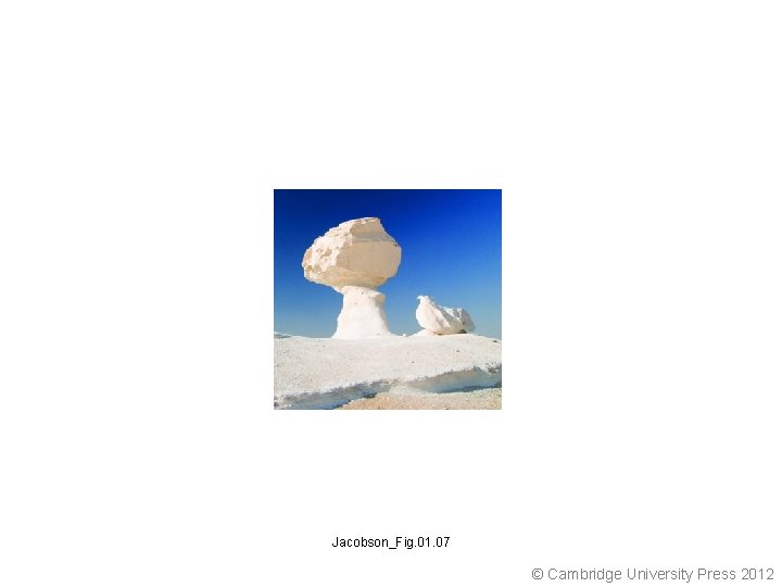 Jacobson_Fig. 01. 07 © Cambridge University Press 2012 