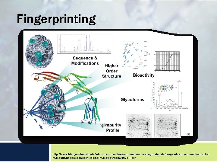 Fingerprinting http: //www. fda. gov/downloads/advisorycommittees/committeesmeetingmaterials/drugsadvisorycommitteeforphar maceuticalscienceandclinicalpharmacology/ucm 315764. pdf 