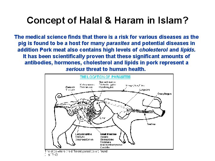 Concept of Halal & Haram in Islam? The medical science finds that there is