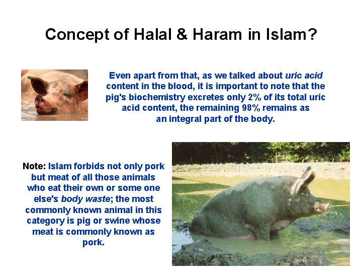 Concept of Halal & Haram in Islam? Even apart from that, as we talked