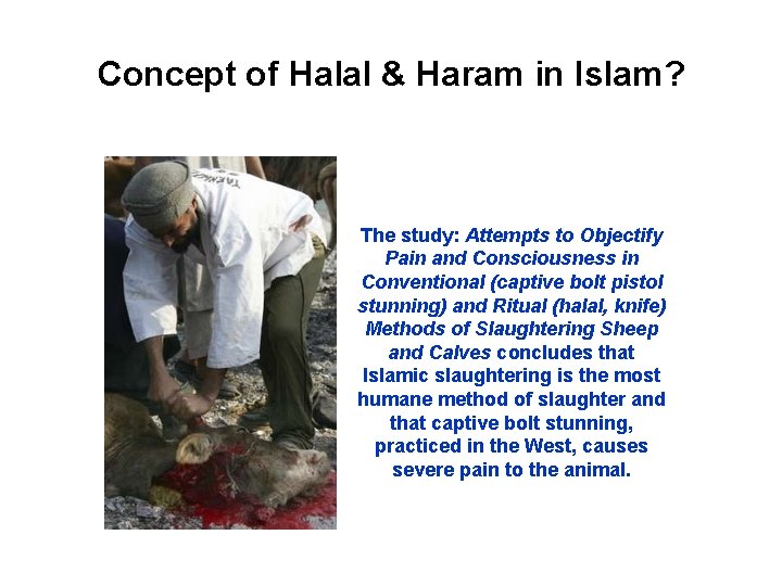 Concept of Halal & Haram in Islam? The study: Attempts to Objectify Pain and