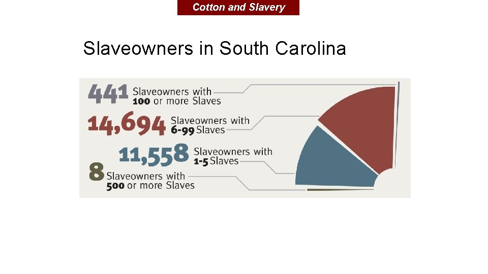 Cotton and Slavery Slaveowners in South Carolina 