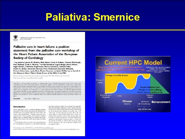 Paliativa: Smernice 