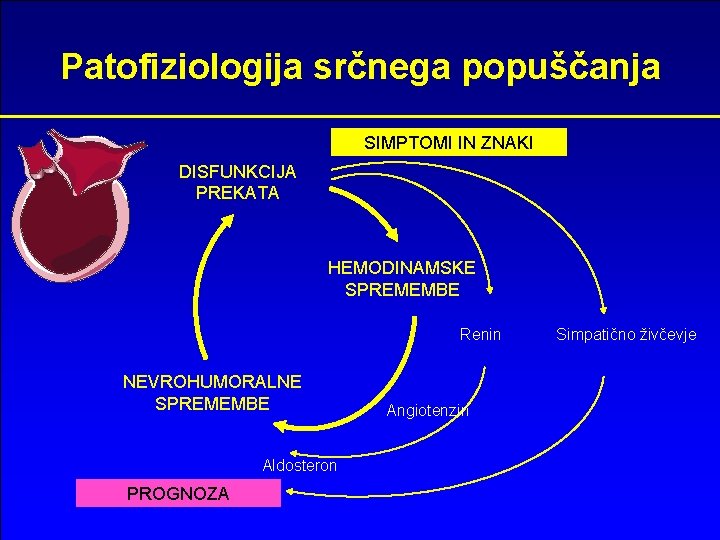 Patofiziologija srčnega popuščanja SIMPTOMI IN ZNAKI DISFUNKCIJA PREKATA HEMODINAMSKE SPREMEMBE Renin NEVROHUMORALNE SPREMEMBE Aldosteron