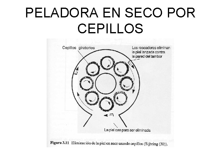 PELADORA EN SECO POR CEPILLOS 