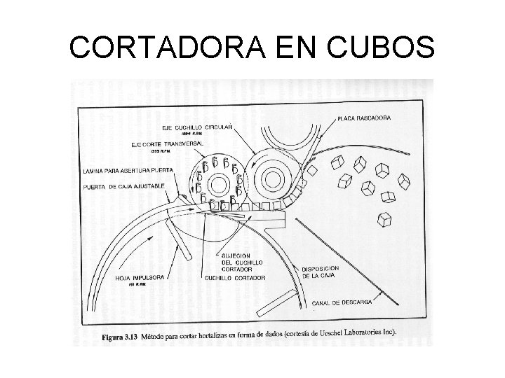 CORTADORA EN CUBOS 