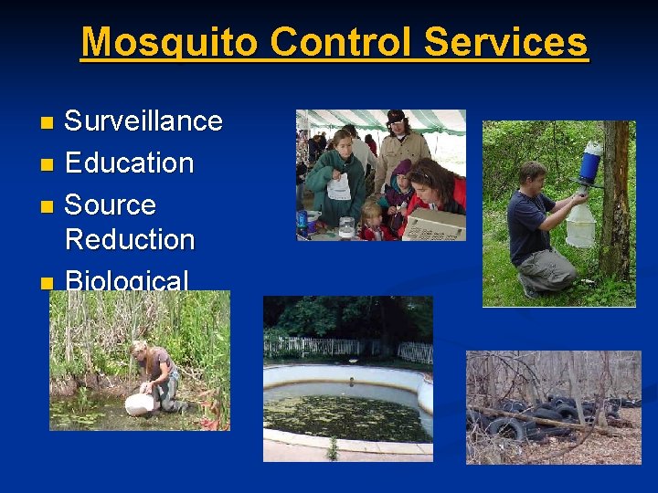 Mosquito Control Services Surveillance n Education n Source Reduction n Biological Control n 