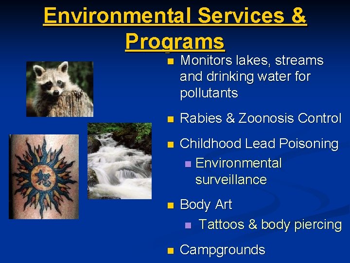 Environmental Services & Programs n Monitors lakes, streams and drinking water for pollutants n