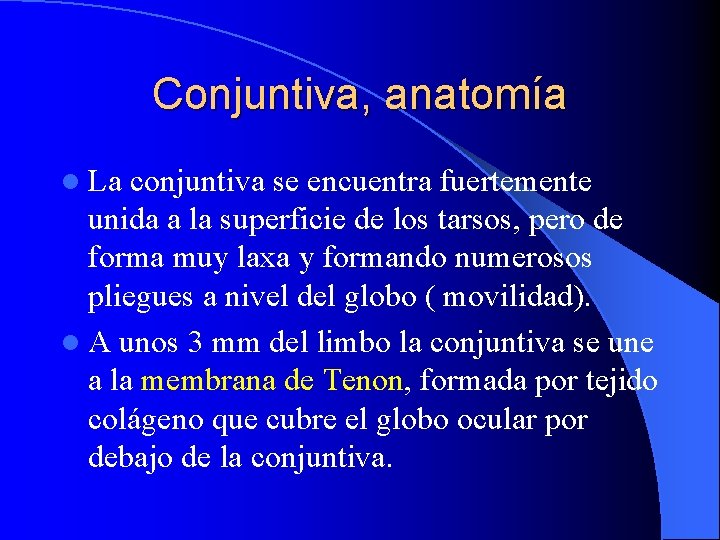 Conjuntiva, anatomía l La conjuntiva se encuentra fuertemente unida a la superficie de los