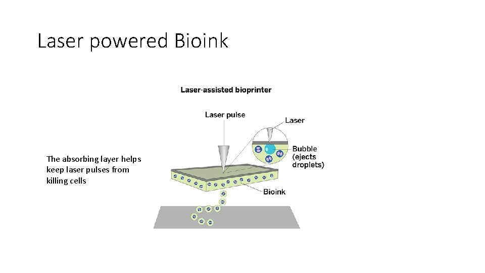 Laser powered Bioink The absorbing layer helps keep laser pulses from killing cells 