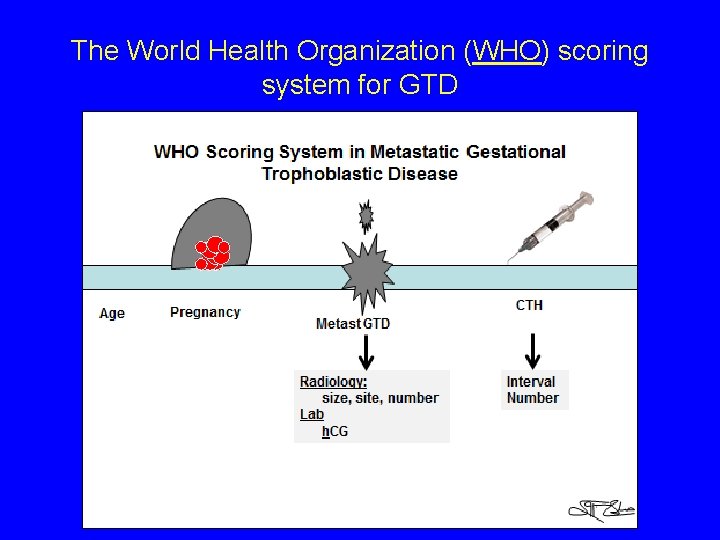The World Health Organization (WHO) scoring system for GTD 