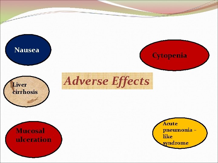 Nausea Liver cirrhosis Mucosal ulceration Cytopenia Adverse Effects Acute pneumonia – like syndrome 