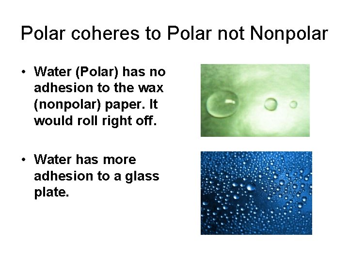 Polar coheres to Polar not Nonpolar • Water (Polar) has no adhesion to the