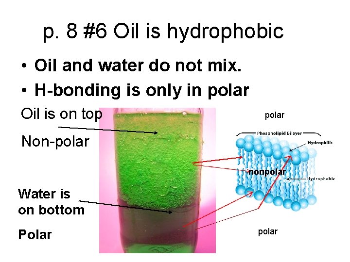 p. 8 #6 Oil is hydrophobic • Oil and water do not mix. •