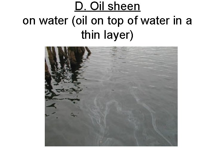 D. Oil sheen on water (oil on top of water in a thin layer)