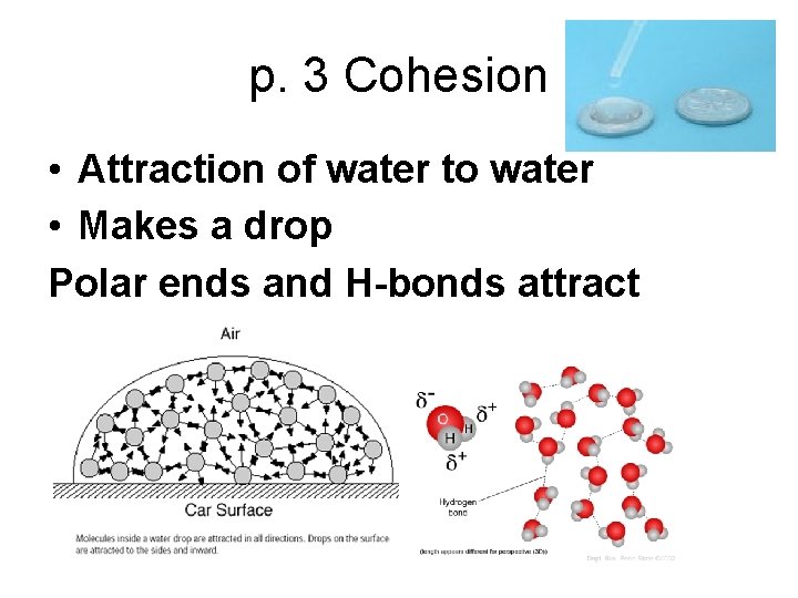 p. 3 Cohesion • Attraction of water to water • Makes a drop Polar