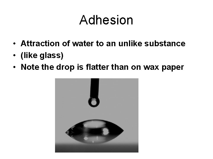 Adhesion • Attraction of water to an unlike substance • (like glass) • Note