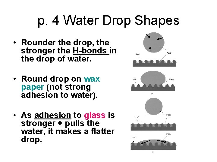 p. 4 Water Drop Shapes • Rounder the drop, the stronger the H-bonds in