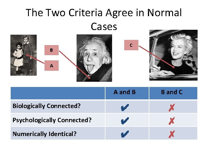 The Two Criteria Agree in Normal Cases C B A Biologically Connected? Psychologically Connected?