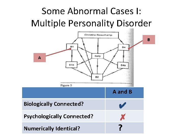 Some Abnormal Cases I: Multiple Personality Disorder B A A and B Biologically Connected?