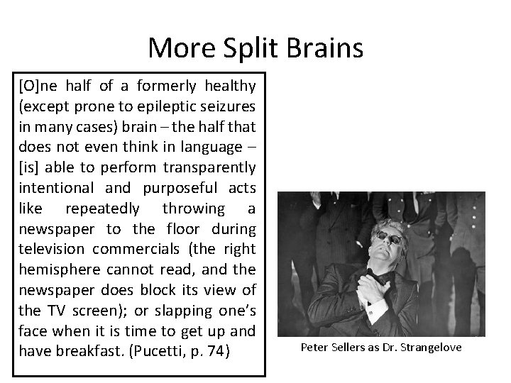 More Split Brains [O]ne half of a formerly healthy (except prone to epileptic seizures