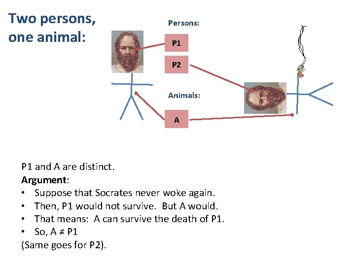 Two persons, one animal: Persons: P 1 P 2 Animals: A 1 A P