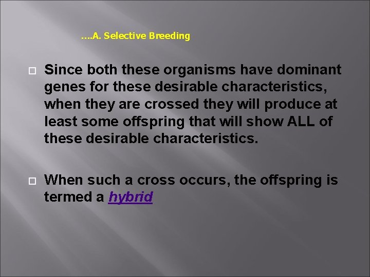 …. A. Selective Breeding Since both these organisms have dominant genes for these desirable
