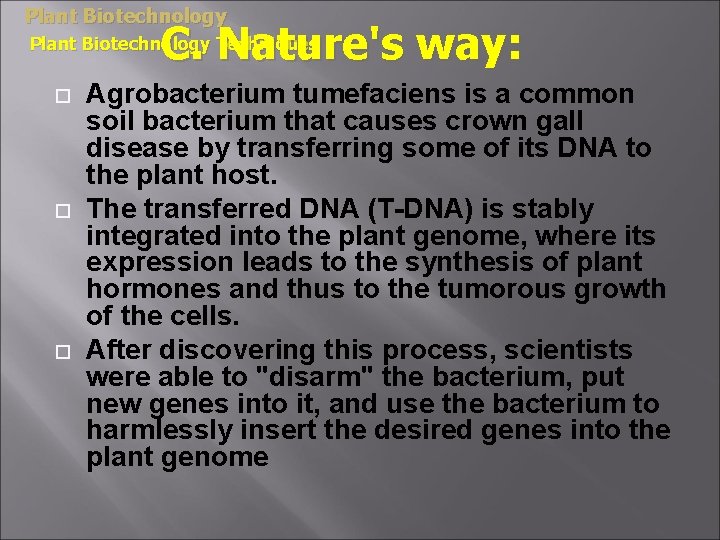 Plant Biotechnology C. Nature's way: Plant Biotechnology Techniques Agrobacterium tumefaciens is a common soil