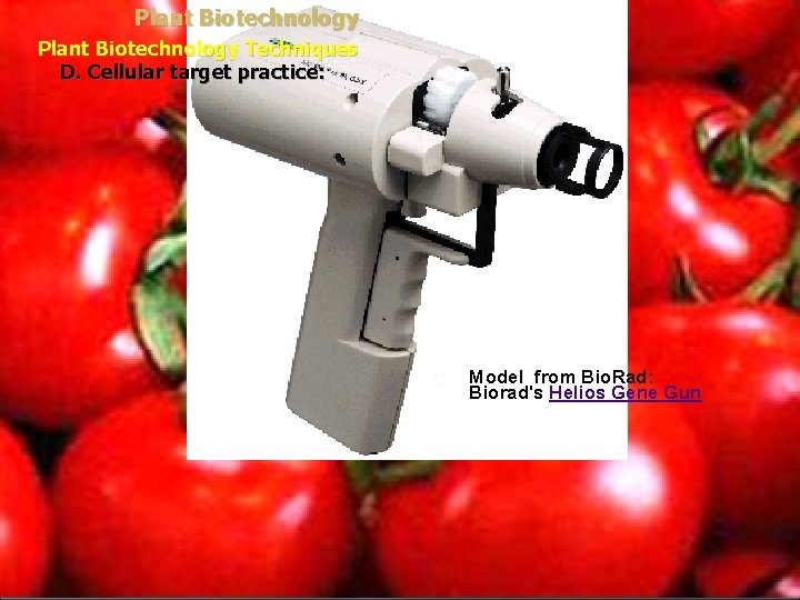Plant Biotechnology Techniques D. Cellular target practice: Model from Bio. Rad: Biorad's Helios Gene